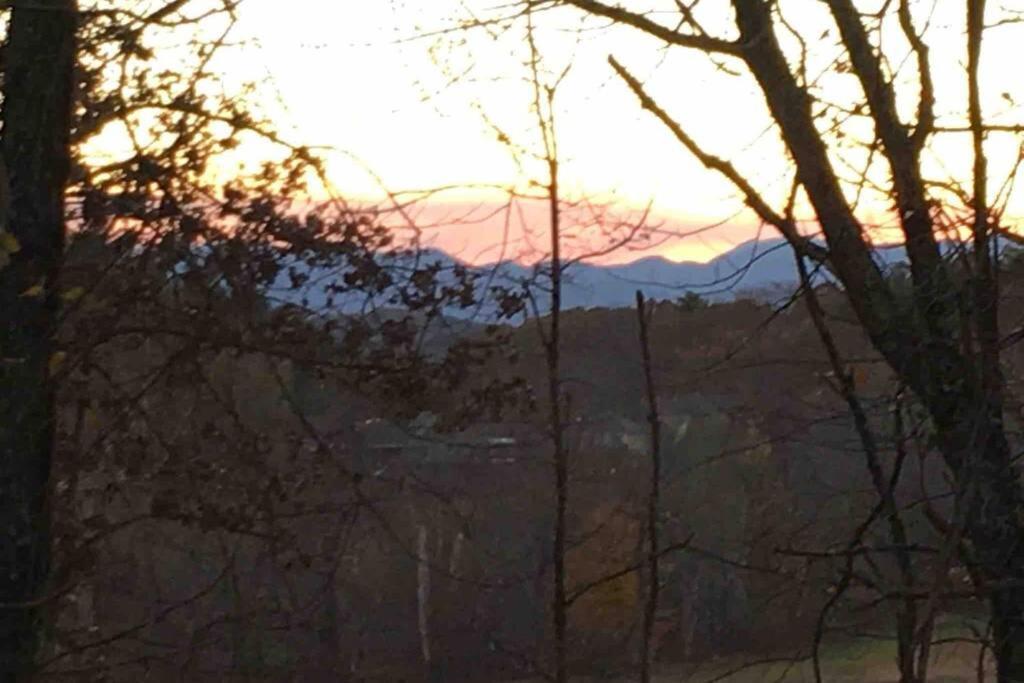 Serenity Views Comfort - Close To City & Parkway! Weaverville 外观 照片