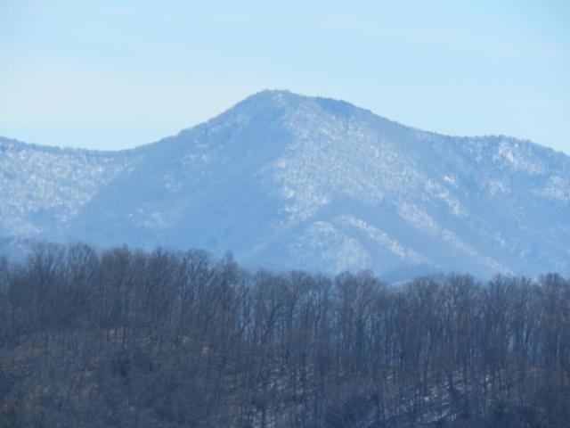 Serenity Views Comfort - Close To City & Parkway! Weaverville 外观 照片