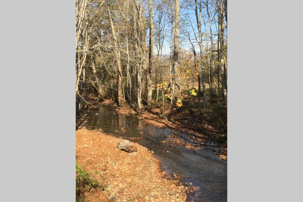 Serenity Views Comfort - Close To City & Parkway! Weaverville 外观 照片